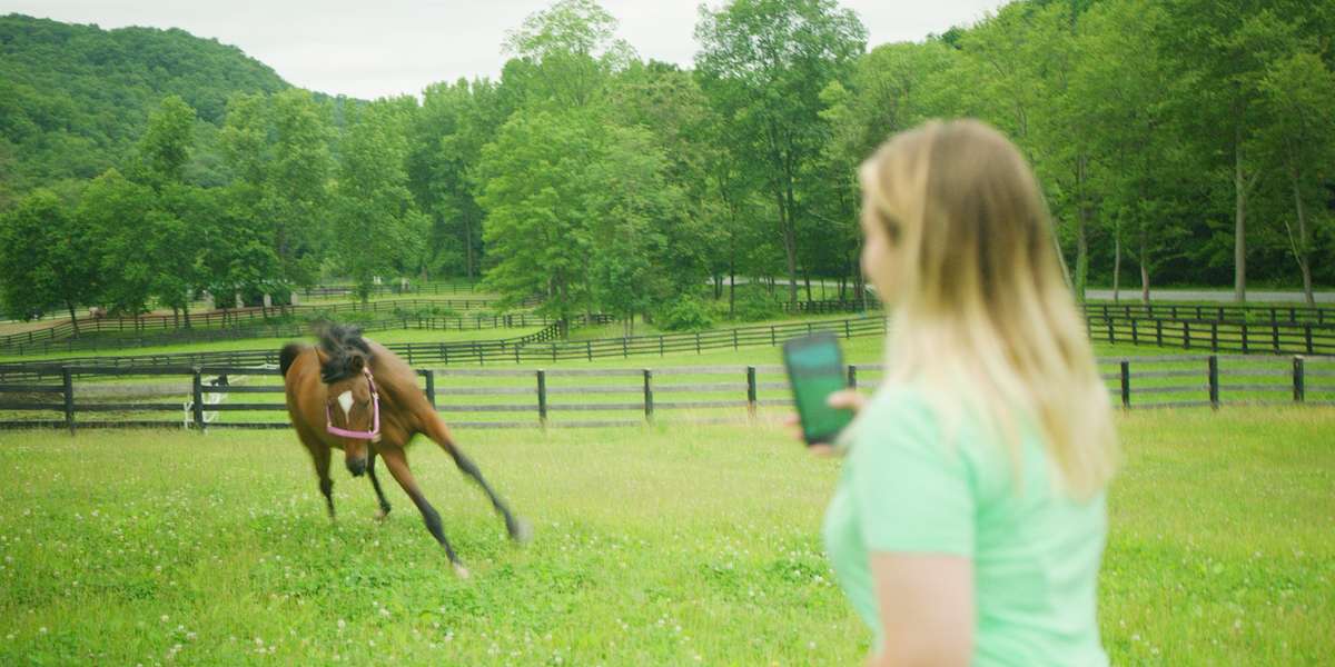 Starving Horse Is SO Excited About Her New Life - Videos ...