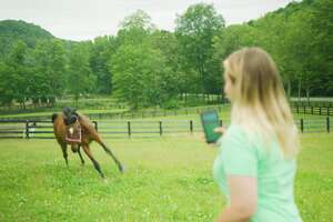 Starving Horse Is SO Excited About Her New Life 