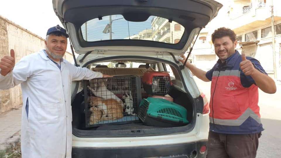 Two men standing in front of cat packed with rescued cats