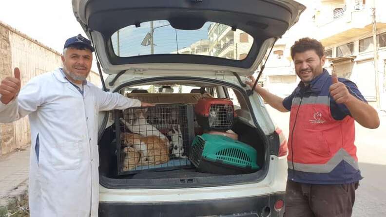 Two men standing in front of cat packed with rescued cats