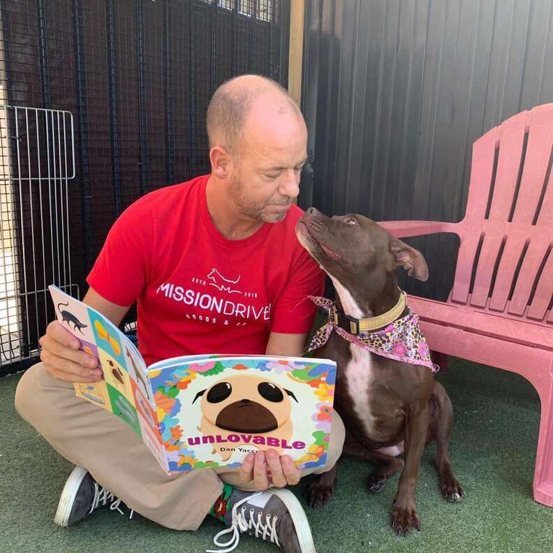 Man reading book to shelter dog