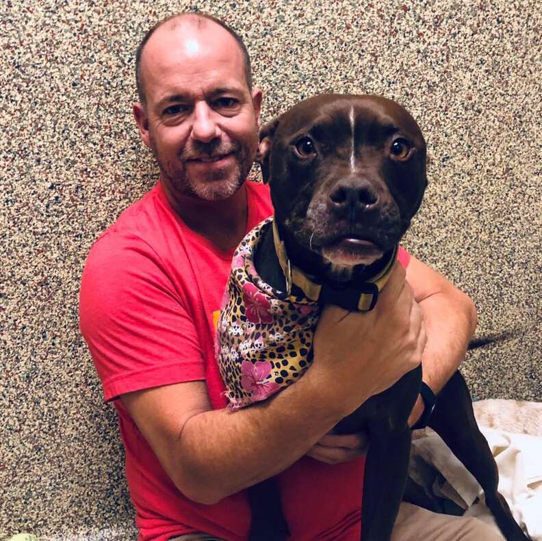 Man hugging shelter dog