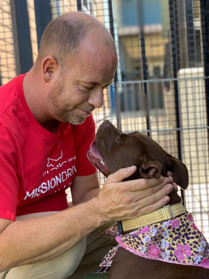 Man lovingly cupping dog's head in his hands