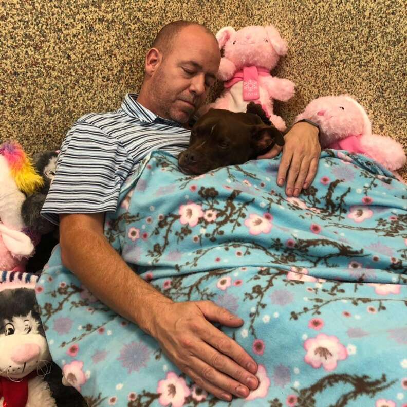 Man sleeping in bed in dog kennel