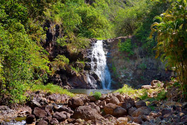 Waimea Valley park