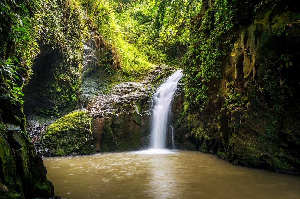 Most Beautiful Waterfall Hikes In Oahu Hi Thrillist