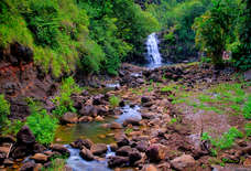The Most Beautiful Waterfalls You Can Hike to in Oahu
