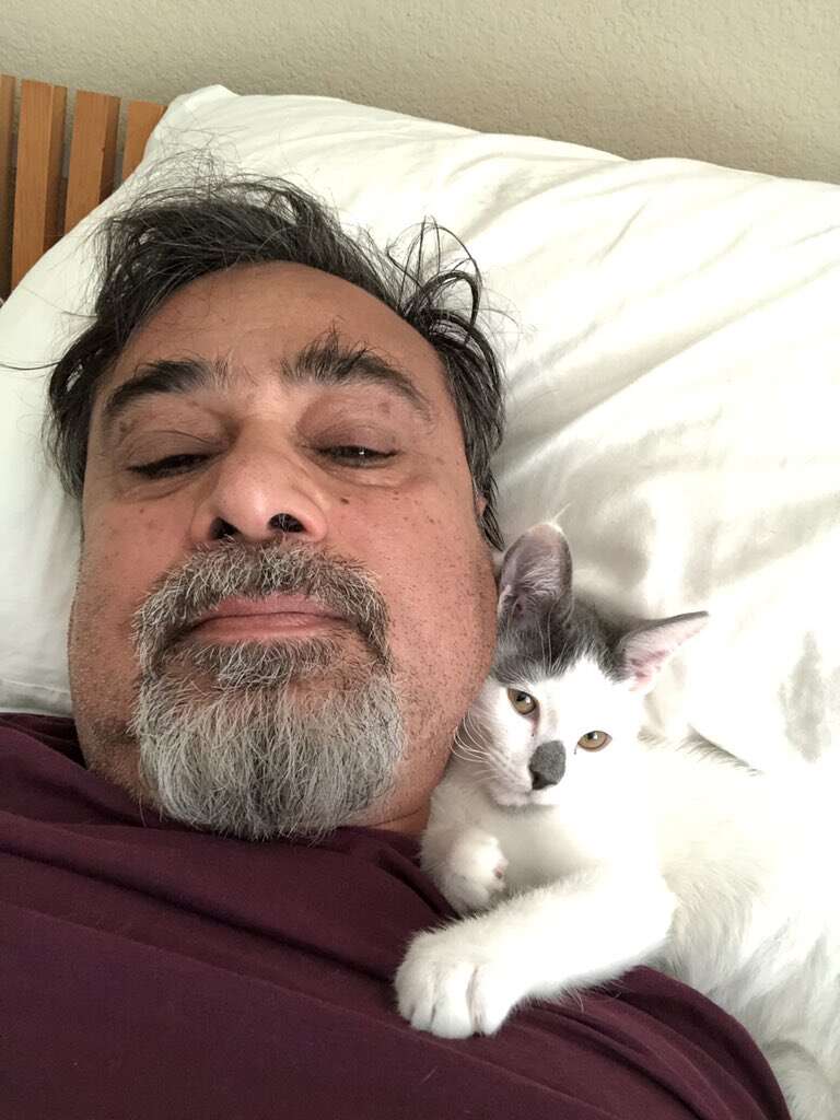 Cat snuggled against man's neck