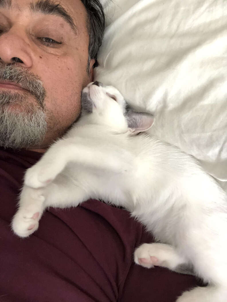 Cat snuggled against man's neck