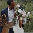 Deer Crashes Couple’s Wedding Photo Shoot