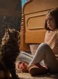 31 Spooky Film Screenings to Check out in NYC This October