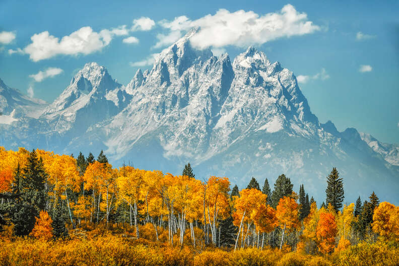 grand teton