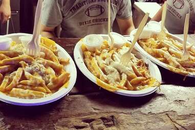 Dixie Chicken