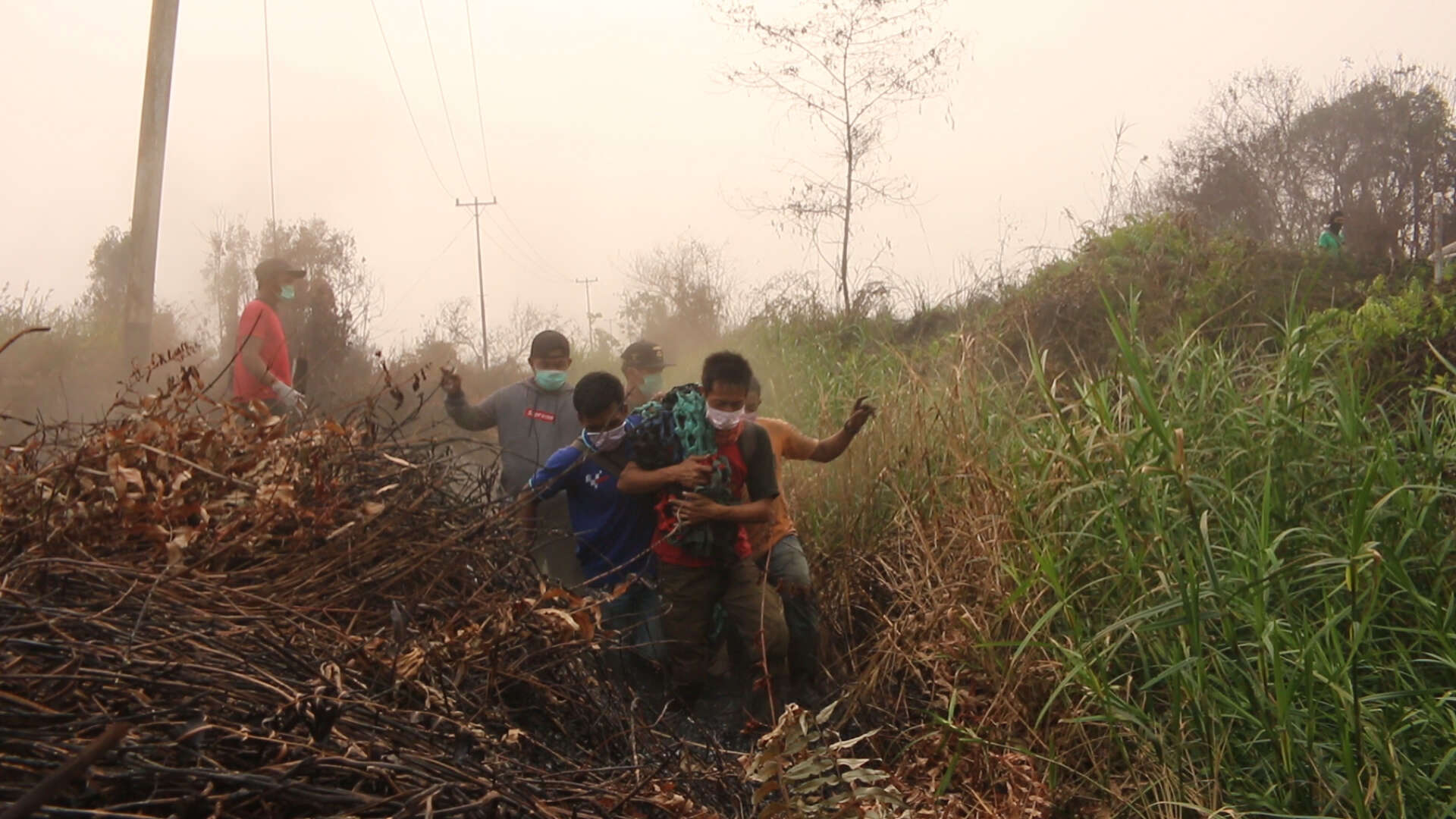 Rescuers loading rescued orangutan onto truck