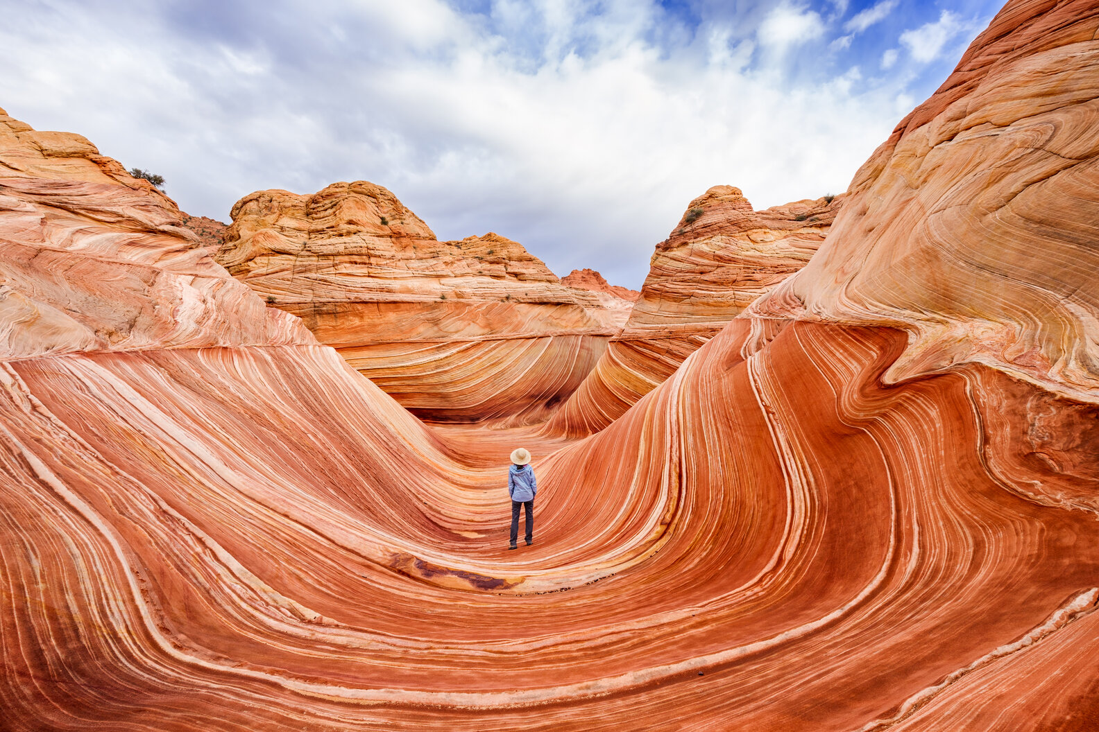 Vermilion Cliffs National Monument Guide The Wave White Pocket More 
