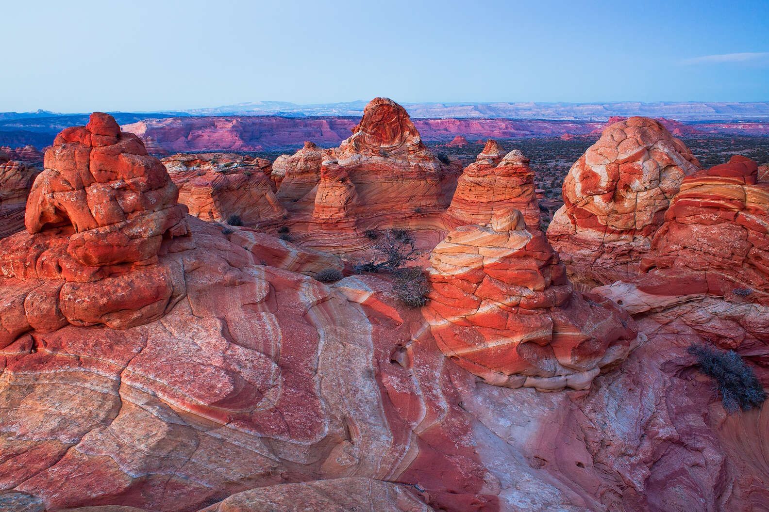 Vermilion Cliffs National Monument Guide The Wave, White Pocket & More