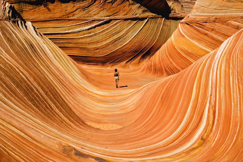 the wave