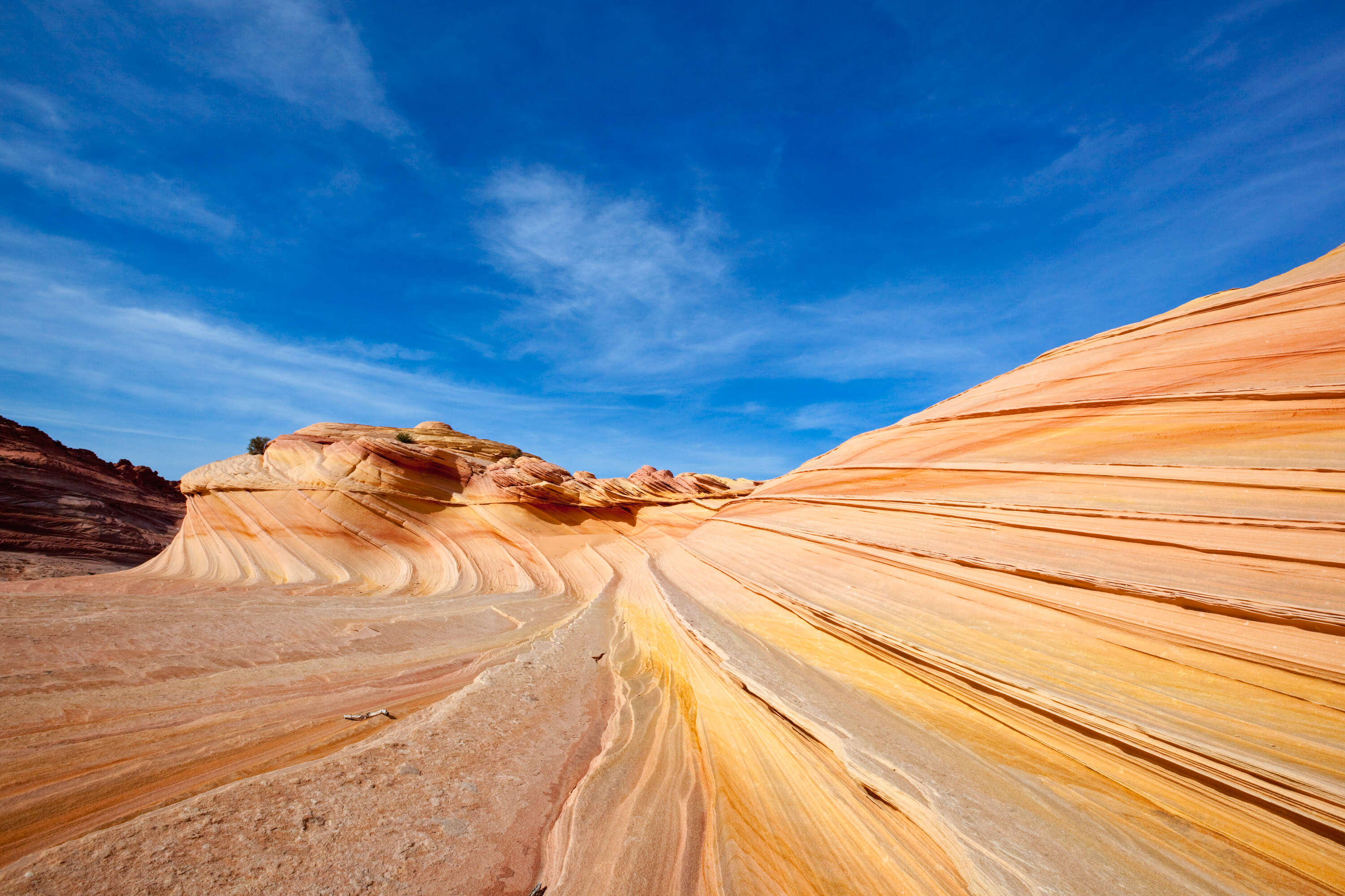 second wave, vermilion cliffs