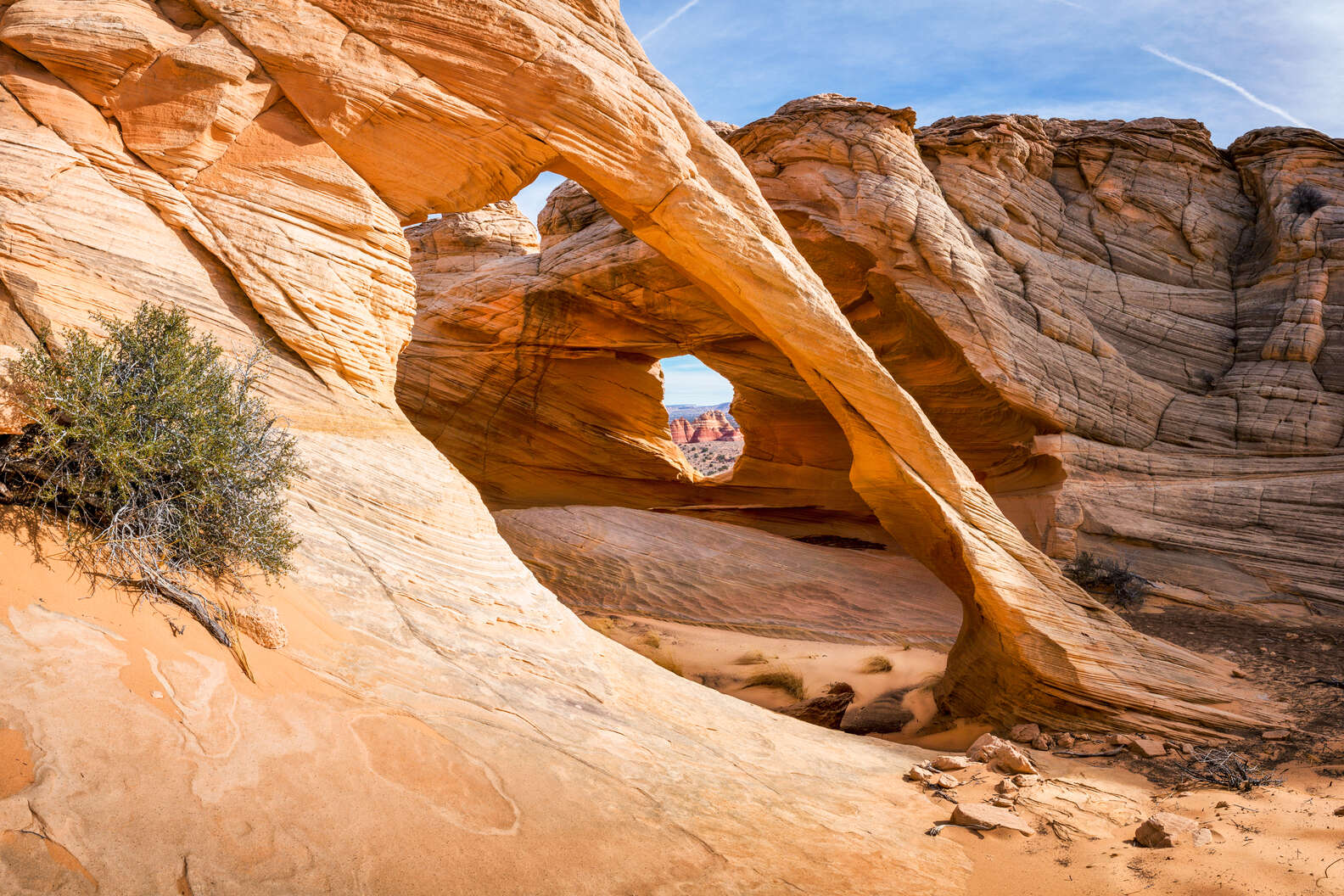 vermilion cliffs national monument tour