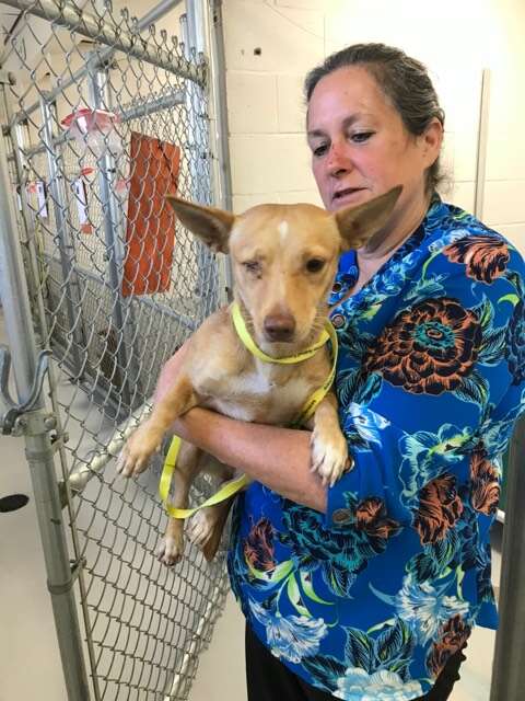 Woman holding dog in front of kennel at shelter