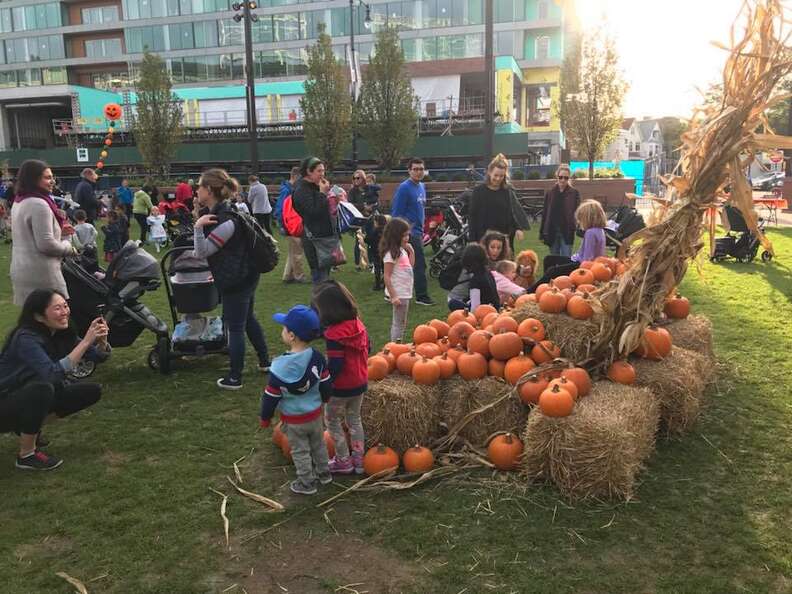 Best Chicago Halloween Parties and Events in 2019 Halloween Things to Do Thrillist