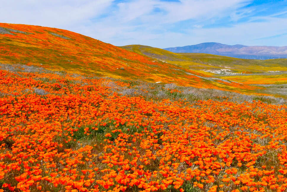 Most Beautiful Places To Visit In California Road Trip