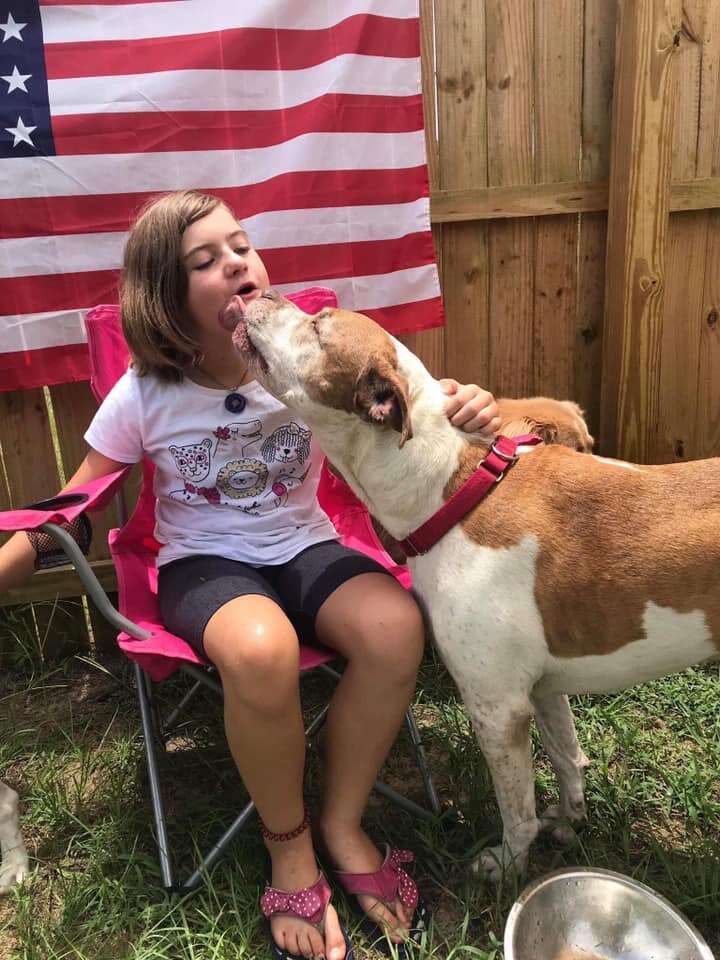 Dog licking the face of a little girl