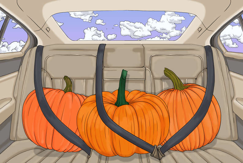 pumpkins