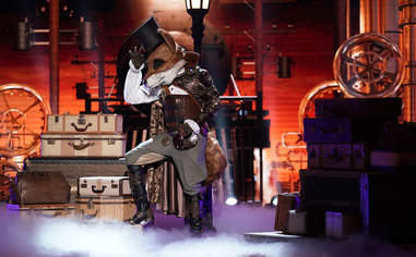 masked singer mr fox