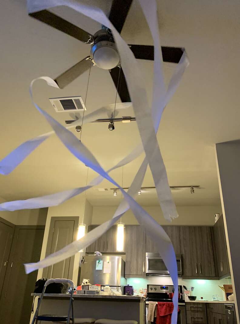 Toilet paper attached to fan blades for cat