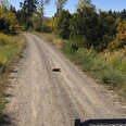 Fire Crew Finds Someone Waiting For Help On A Remote Dirt Road