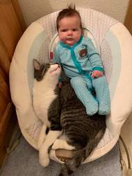 cat and baby