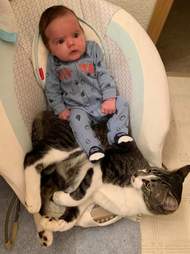 cat and baby