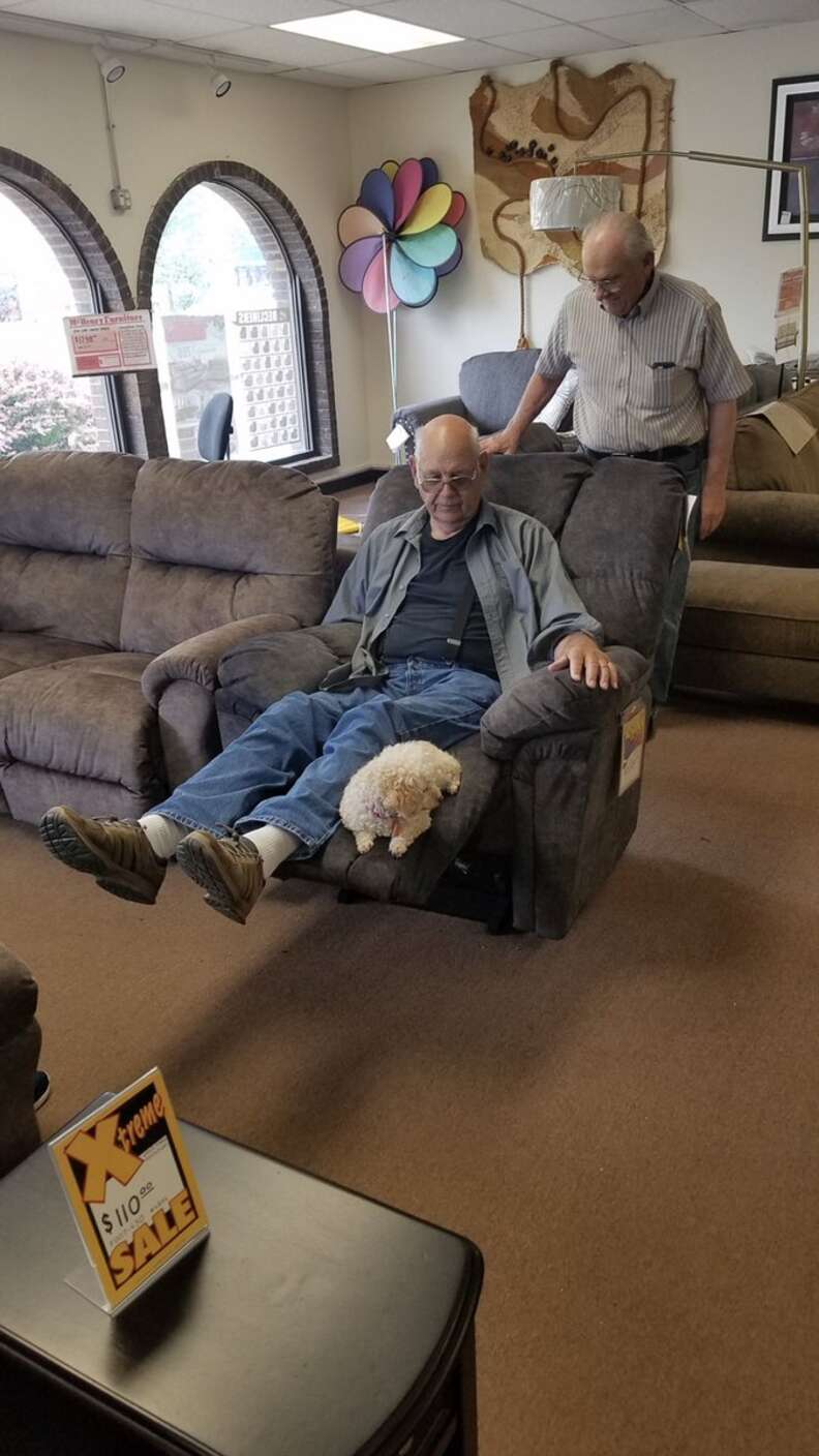 Grandpa Brings Dog To Furniture Store To Make Sure She Likes Chair Too - The Dodo