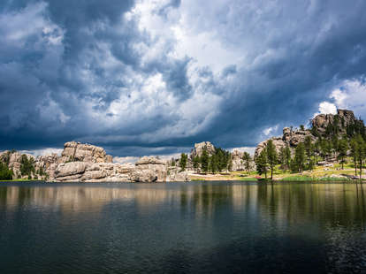 custer park