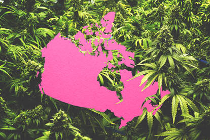 canada cannabis