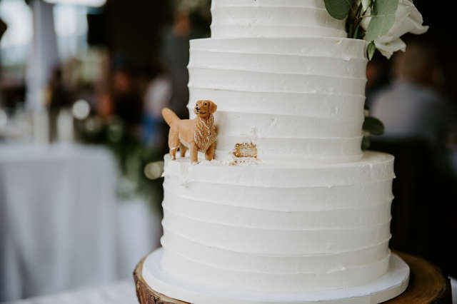 Couple Has Wedding Cake Featuring Their Dog The Dodo