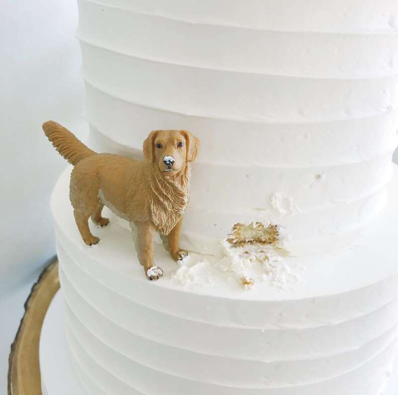 Couple Has Wedding Cake Featuring Their Dog The Dodo