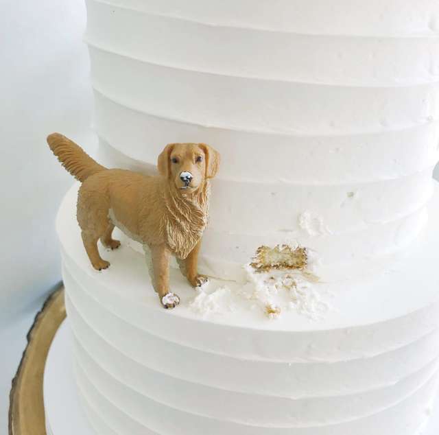 Couple Has Wedding Cake Featuring Their Dog The Dodo