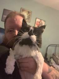 matted cat