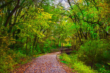 Swamp Rabbit Trail