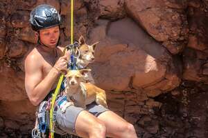 Guy Rappels Into Canyon To Save Abandoned Dogs