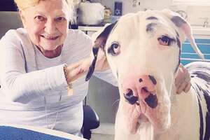 92-Year-Old Nana And Great Dane Are Best Friends