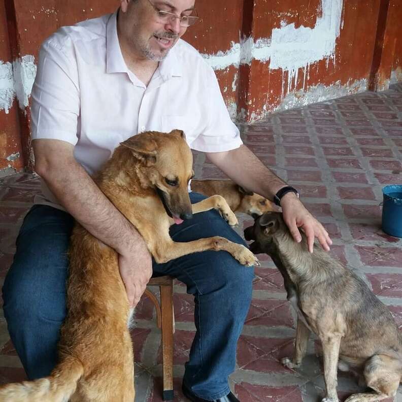 Priest Brings Stray Dogs To Mass To Help Them Get Adopted - The Dodo