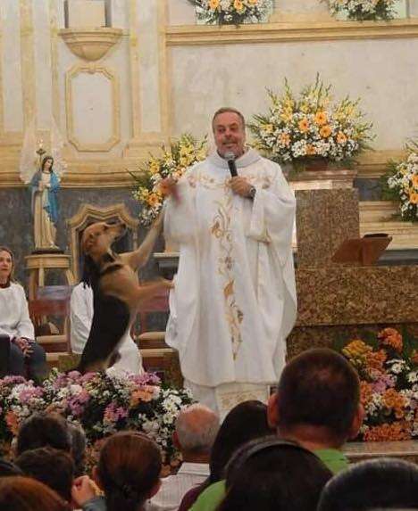 Priest Gomes helps a stray dog find a home during mass