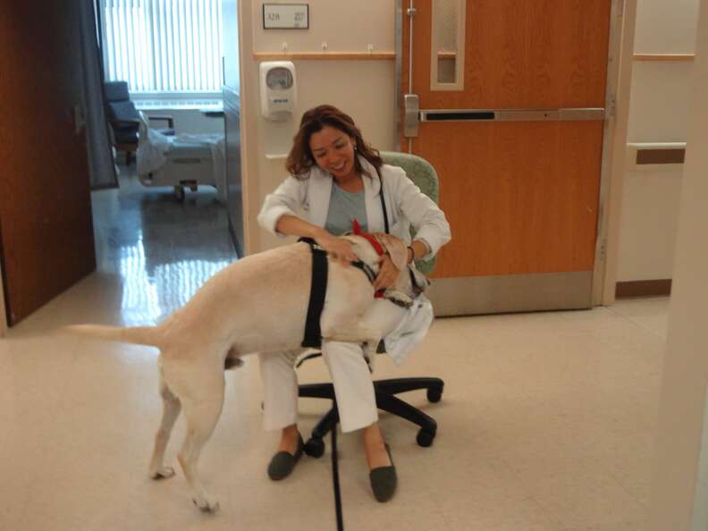 Benji the dog visits staff at the Monongahela Valley Hospital