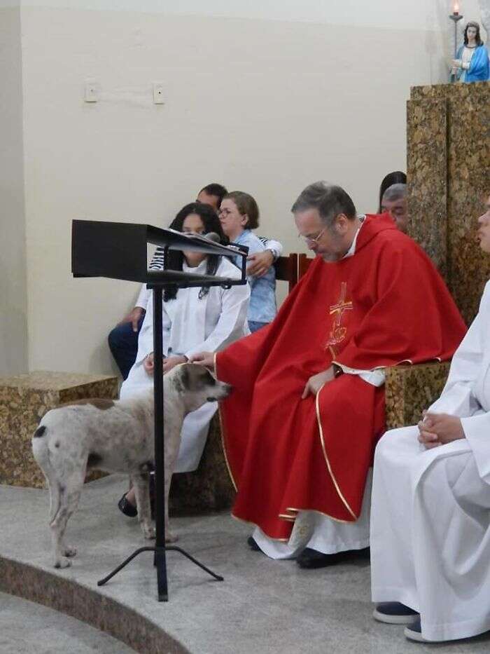 Priest pets a dog during mass
