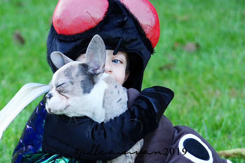 Little Boy And His Dog Dress Up As Fly And Poop For Halloween - The Dodo