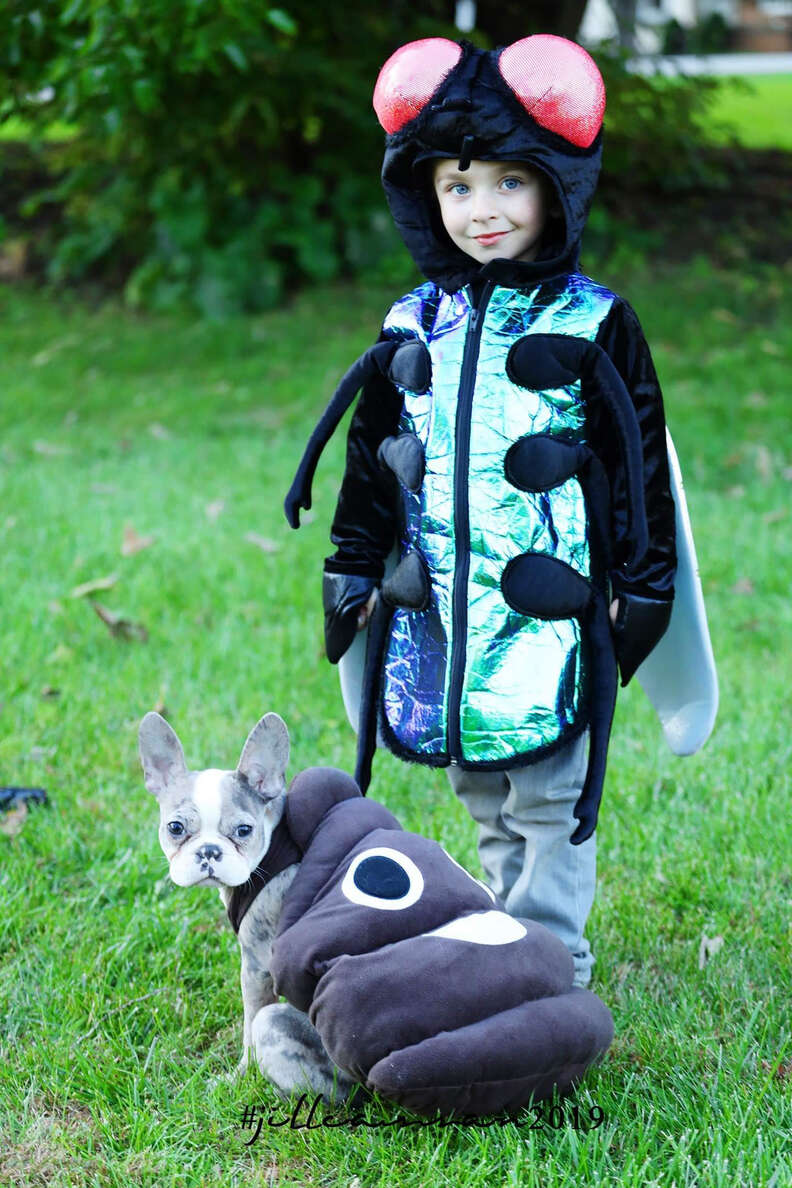 Little Boy And His Dog Dress Up As Fly And Poop For Halloween - The Dodo