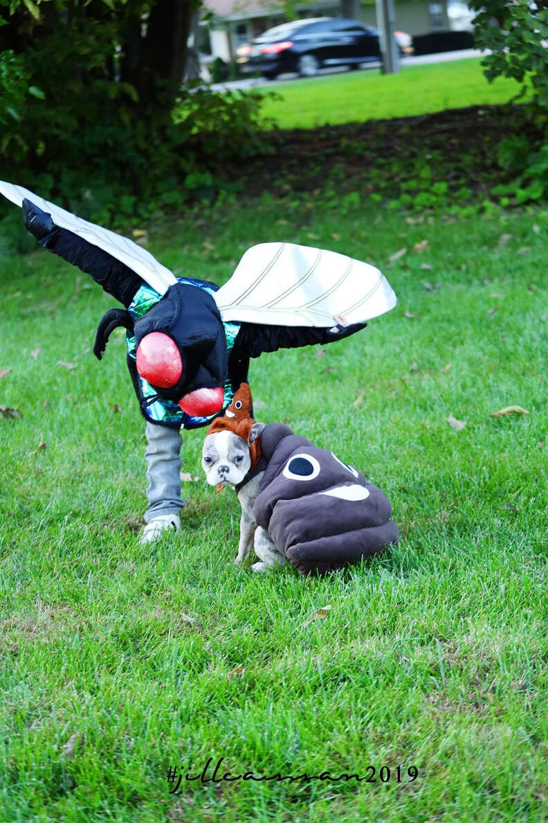 Little Boy And His Dog Dress Up As Fly And Poop For Halloween - The Dodo